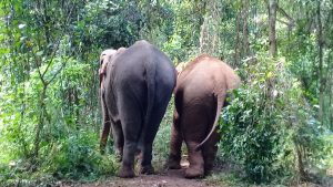 Mondulkiri